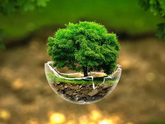Landscape maintenance service in Johor Bahru by Greenish Landscape